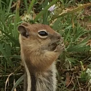 Meet your Posher, Thomas